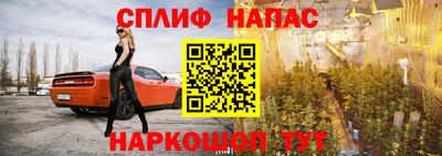 соль ск Славгород