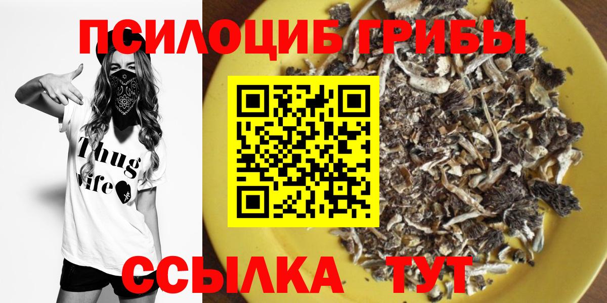 Псилоцибиновые грибы Cubensis Омск